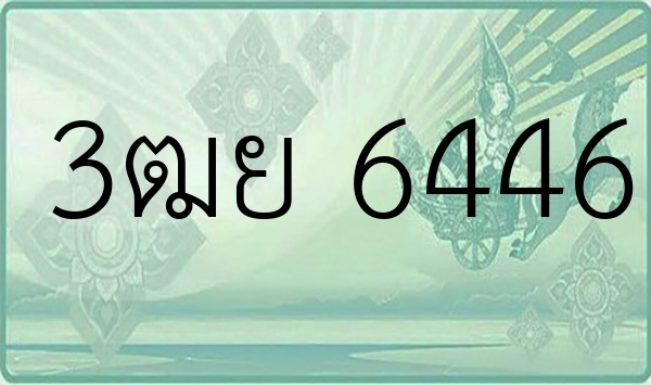 3ฒย 6446